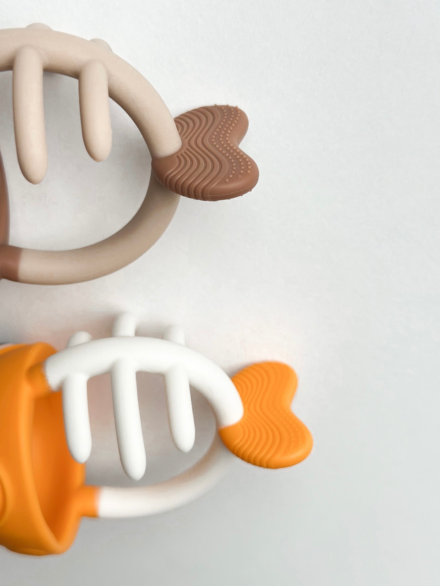 Mombella kramtukas ‘Clownfish’