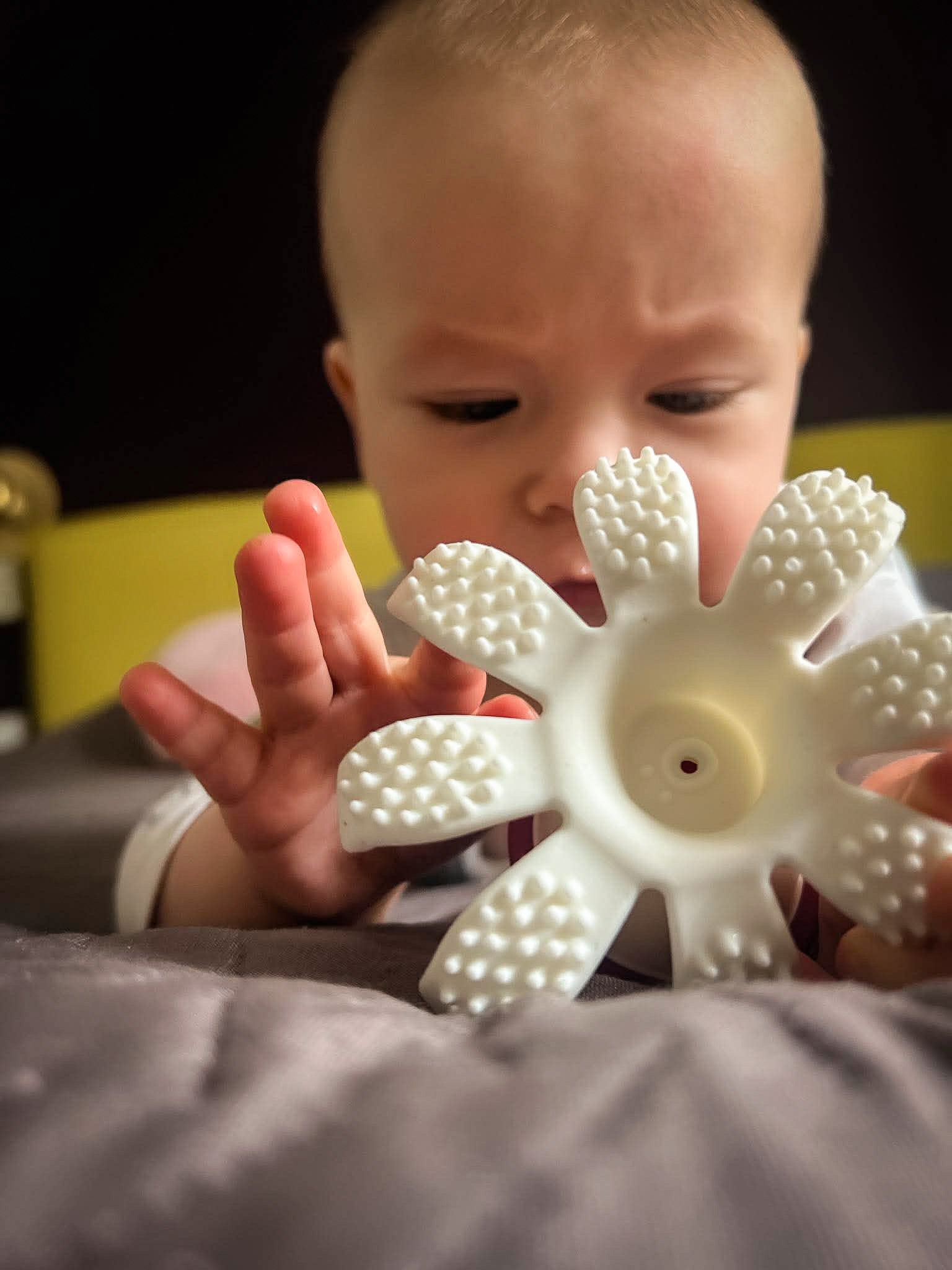 Mombella Octopus Teether