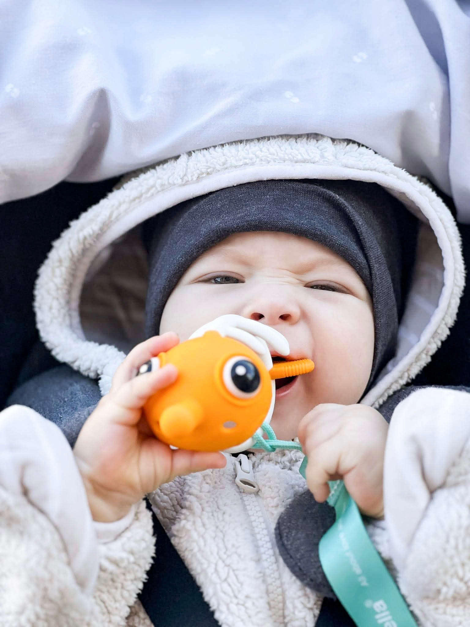 Mombella kramtukas ‘Clownfish’