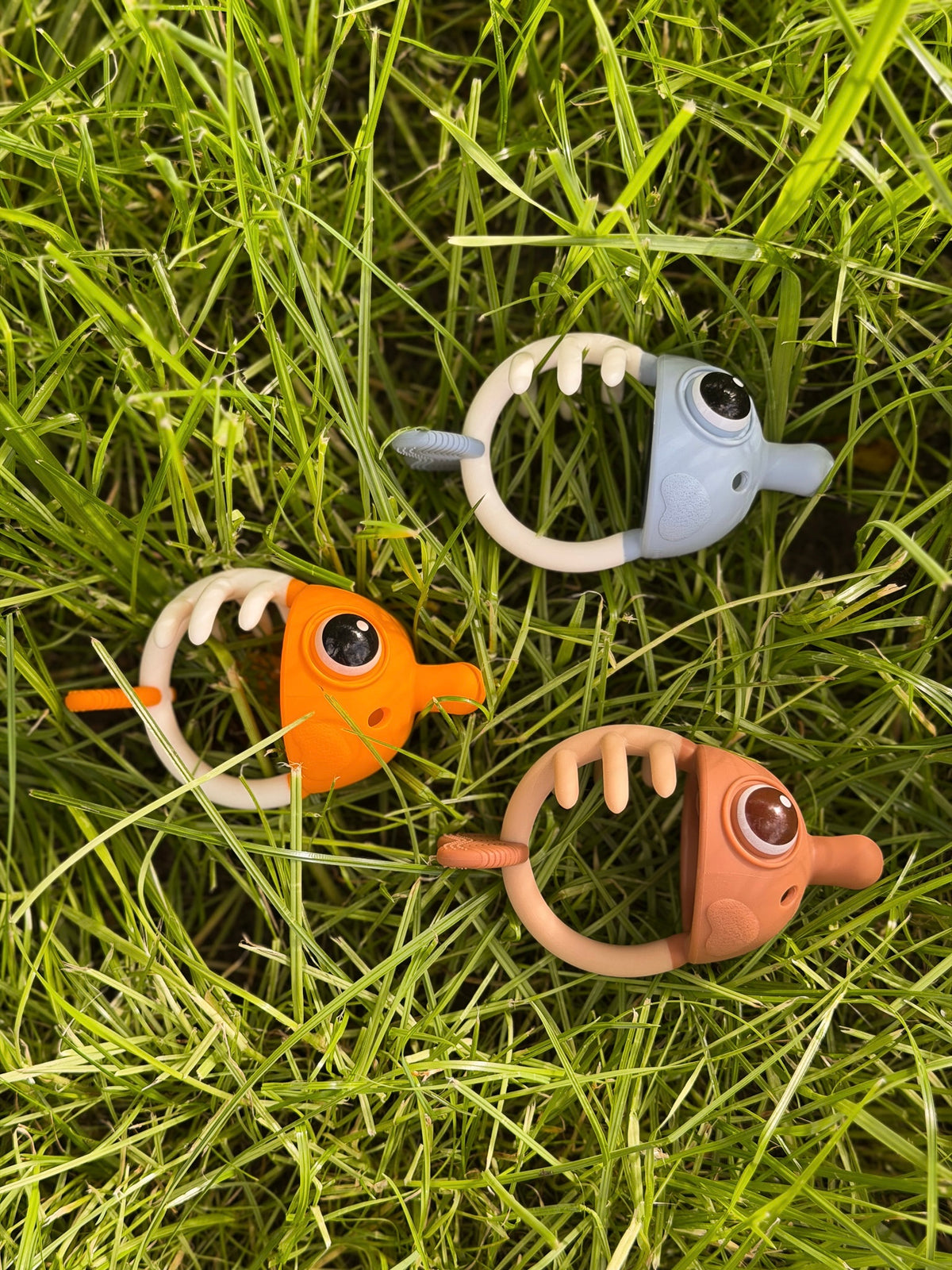 Mombella clownfish sensoriniai kramtukai dantu dygimui