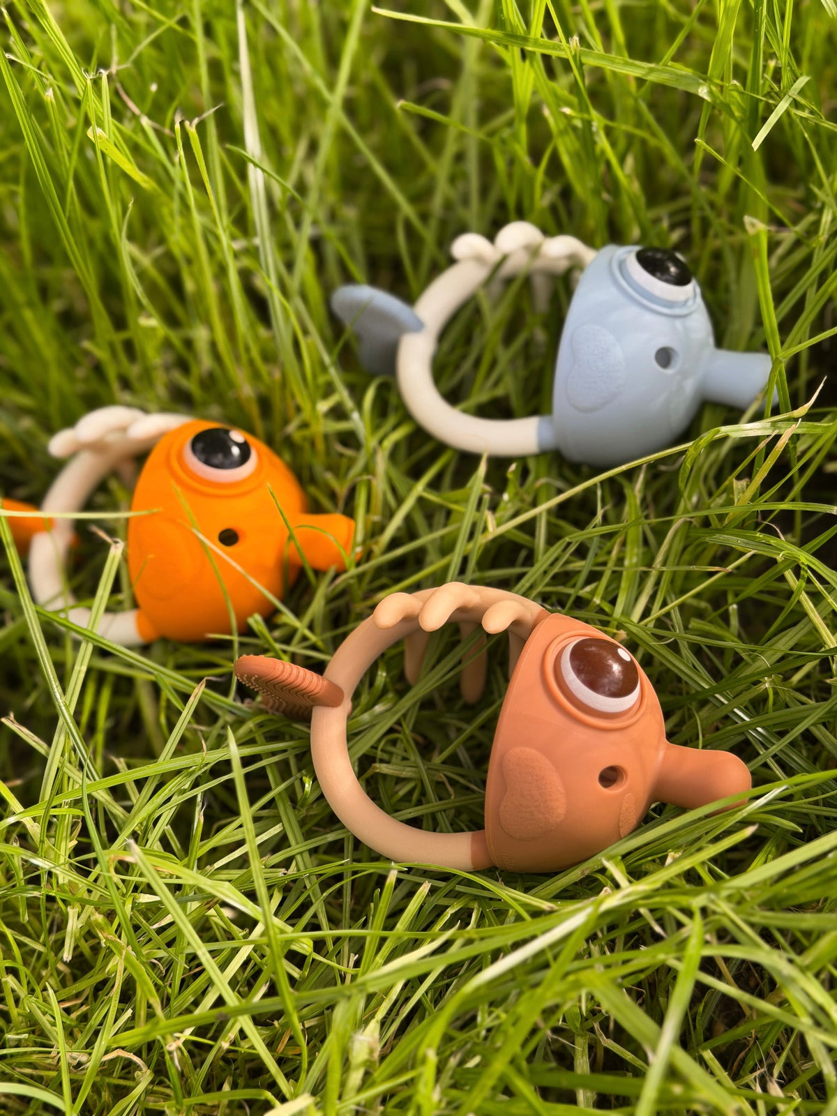 mombella clownfish žuvytės kramtukai